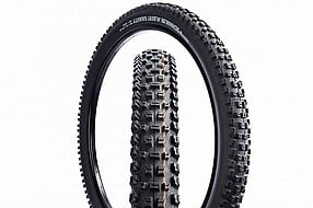 Schwalbe ALBERT GRAVITY PRO 29 Inch MTB Tire