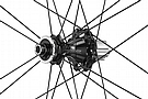 Campagnolo Bora WTO 33 Disc Brake Carbon Wheelset 7