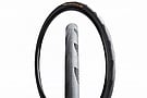 Continental Archetype TdF Limited Edition Road Tire 1
