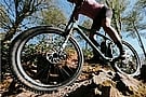 Continental Trinotal 27.5 Inch MTB Tire 2