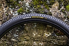 Continental Terra Adventure 700c Gravel Tire 2