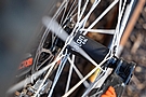 Berd Hawk30 Gold 29" MTB Carbon Wheelset 4