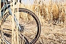 ENVE Hex 700c Gravel Tire 3