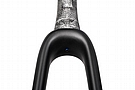 ENVE Road In-Route Fork 4