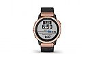 Garmin Fenix 6S Sapphire   18