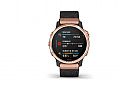 Garmin Fenix 6S Sapphire   20