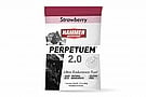 Hammer Nutrition Perpetuem 2.0 (Box of 12) 12