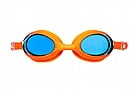 Blueseventy Element Mirrored Goggle 1