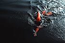 Orca Womens Openwater Vitalis High-Vis 5