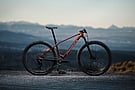 Orbea Alma OMR Carbon 29er Frameset 6