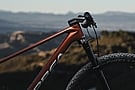 Orbea Alma OMR Carbon 29er Frameset 5