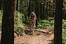 RockShox Rudy XL Ultimate Gravel Suspension Fork 10