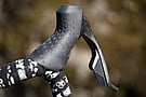 SRAM Rival AXS E1 Shifter/Brake Caliper 11