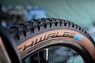 Schwalbe Wicked Will 29 Inch MTB Tire 1