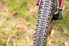 Schwalbe RACING RALPH Super Race 29 Inch MTB Tire 6