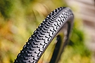 Schwalbe G-One RX TLR 700c Gravel Tire 3