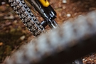 Schwalbe Romy Trail PRO 29 Inch MTB Tire 3