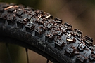 Schwalbe Romy Race PRO 29 Inch MTB Tire 3