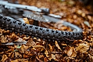 Schwalbe Shredda Gravity PRO Rear 29 Inch MTB Tire (2025) 2