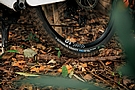Schwalbe Tacky Chan Gravity PRO 29 Inch MTB Tire 2