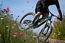 Shimano XTR CS-M9200 12-Speed Cassette 9
