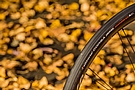 Vittoria Corsa Control G2.0 TLR Road Tire 8