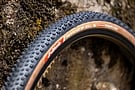 Vittoria Terreno T60 Mixed 700c Gravel Endurance Tire 3