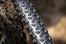Vittoria Torrente XC Race 29 Inch MTB Tire 3