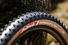 Vittoria Torrente XC Race 29 Inch MTB Tire 2