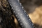 Vittoria Terreno XC Race 29 Inch MTB Tire 3