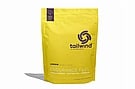 Tailwind Nutrition Endurance Fuel 10