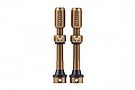Teravail Alloy Tubeless Valves 1