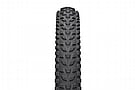 Teravail Clifty 29 Inch MTB Tire 3
