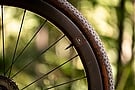 Reserve 40|44 GR DT Swiss 350 Disc Brake Wheelset 7
