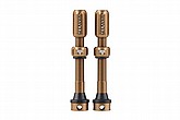 Representative product for Teravail Valve Adapters/Extenders