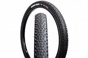 Maxxis Aspen WT MaxxSpeed/EXO/TR 29