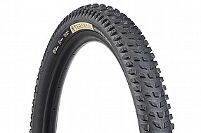 Maxxis Minion DHR II EXO/TR 26