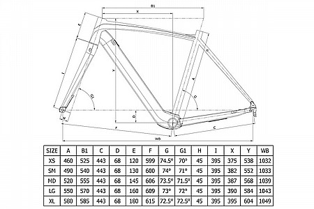 Bianchi discount impulso black