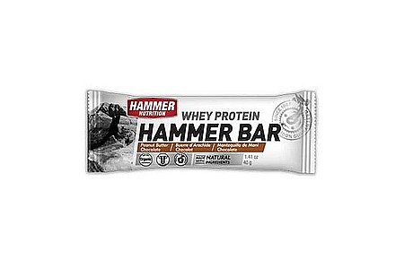 Hammer Nutrition Whey Protein Bar