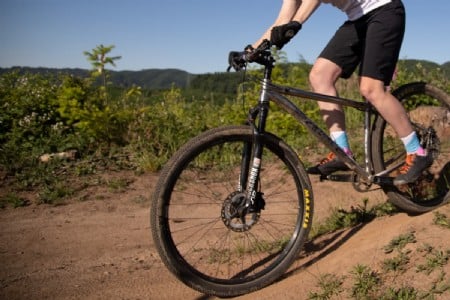 Maxxis Pace EXO/TR 29