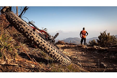 Schwalbe NOBBY NIC Super Ground 27.5 Inch MTB Tire