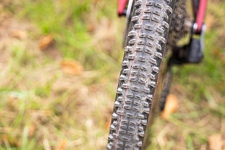Schwalbe RACING RALPH Super Race 29 Inch MTB Tire