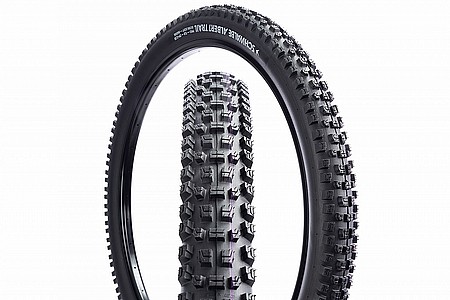 Schwalbe ALBERT TRAIL PRO 29 Inch MTB Tir