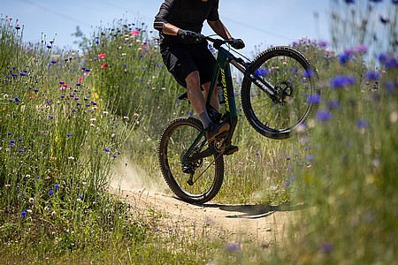 Shimano XTR WH-M9220 29