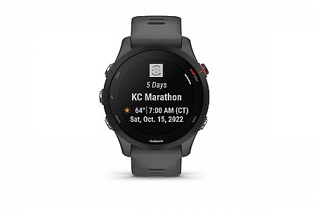 Garmin Forerunner 255 Tidal Blue [010-02641-01] at BikeTiresDirect