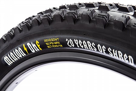 maxxis minion dhf 20