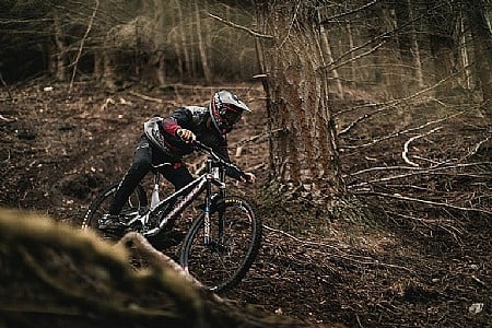 maxxis freeride 29