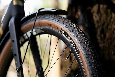 Teravail Sparwood 29 Inch Adventure Tire at BikeTiresDirect