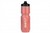 45Nrth Last Light Insulated Purist Bottle 