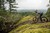 4iiii XTR M9100 Precision 3 Single Leg Power Meter 